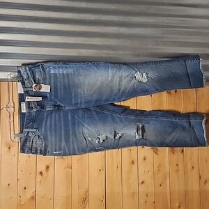 Lane Bryant Jeans Size 14 High Rise Straight  NWT